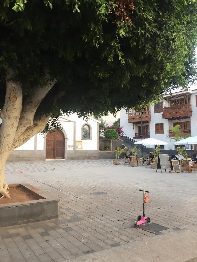 Flor De Pascua Apartment Acantilado de los Gigantes